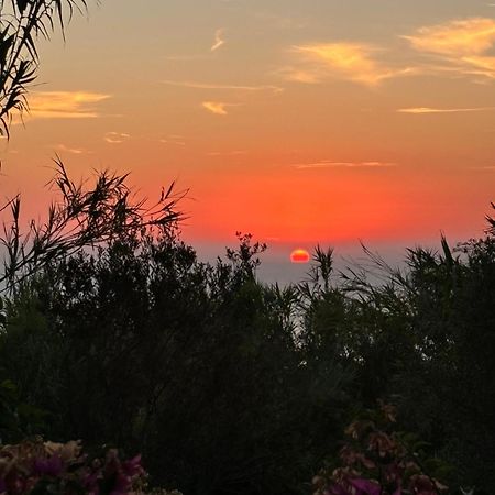 Villa Moma Giardino, Tennis E Piscina Panoramica Ίσκια Εξωτερικό φωτογραφία
